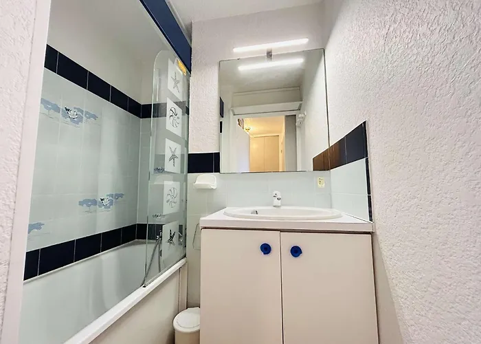 Apartment Appt 2 Pieces 5 Couchages Cap D'agde Ct980-b18 *